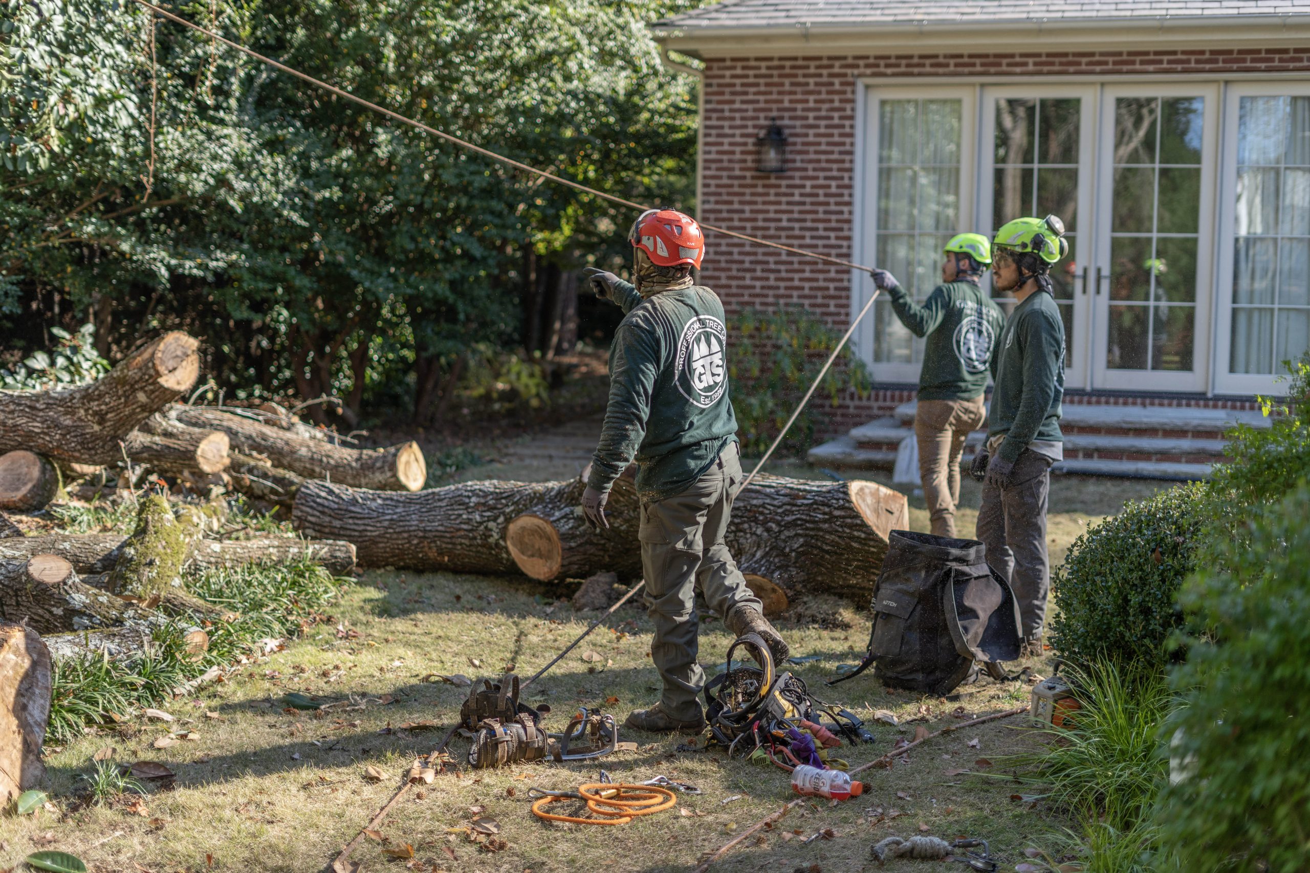 tree service tree service